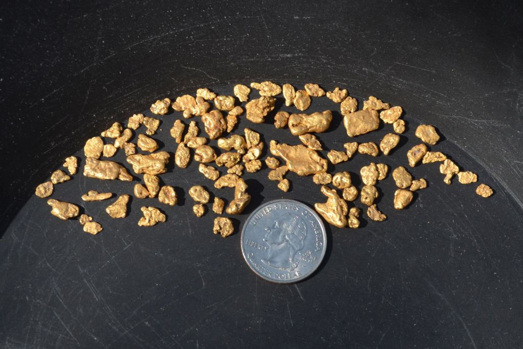 gold with quarter.jpg