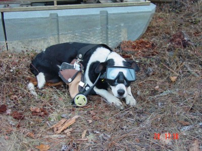 doggonedredger.jpg