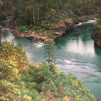 4E4E006F-DE15-4155-A4C6-F5C5531D181A.jpeg